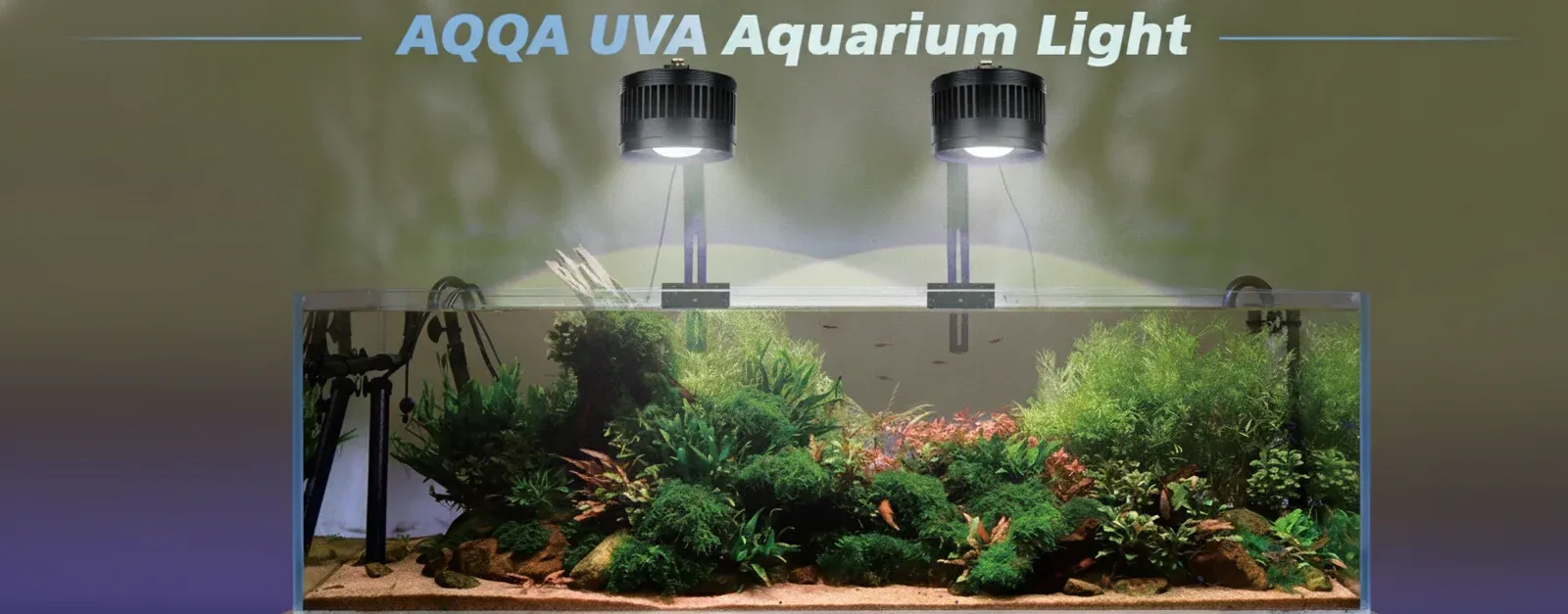 Aquarium Full Spectrum Light Explained: A UK Buyer's Guide